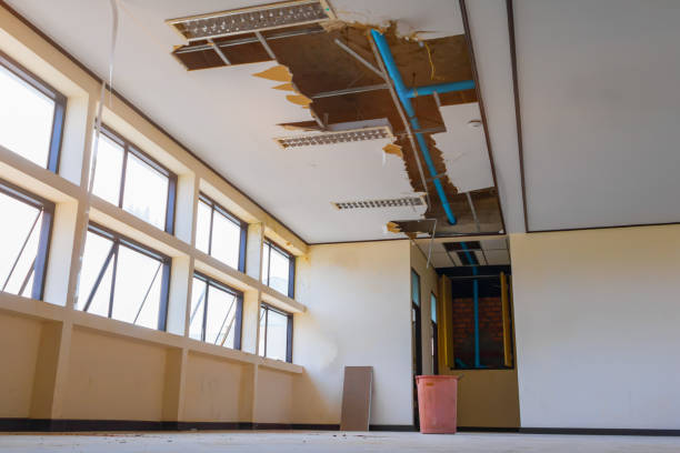 Best Basement water damage restoration  in Elkhart Lake, WI