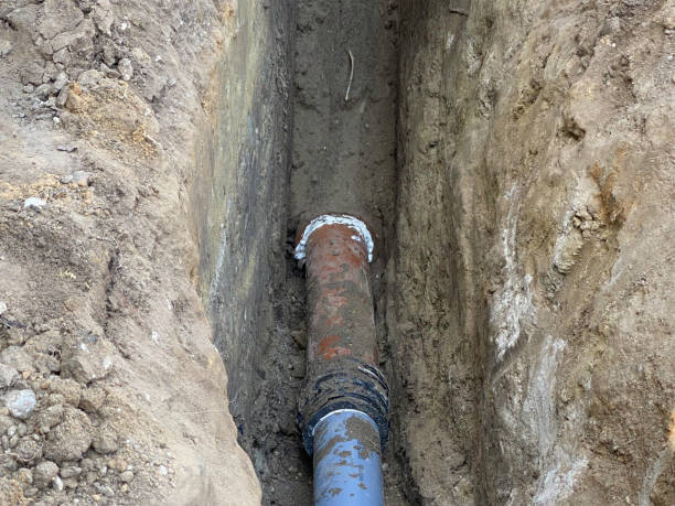 Best Sewage cleanup and water damage restoration  in Elkhart Lake, WI