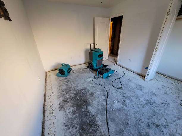 Best Mold removal after water damage  in Elkhart Lake, WI