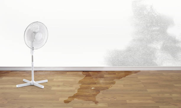 Best Local water damage restoration  in Elkhart Lake, WI