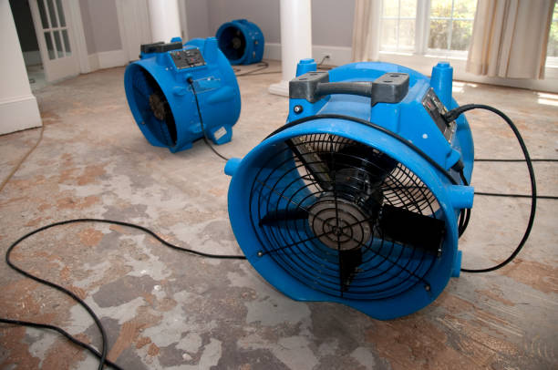 Best Commercial water damage restoration  in Elkhart Lake, WI