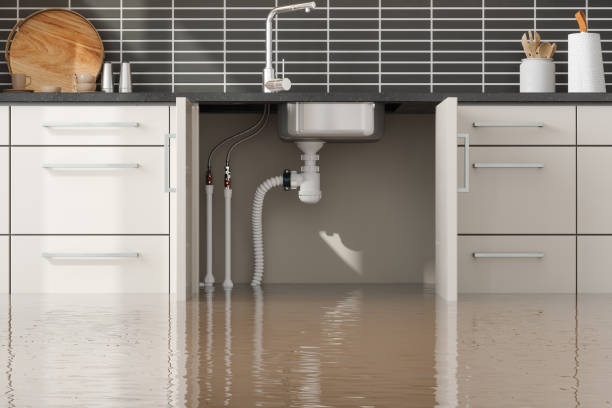 Best Water damage contractors near me  in Elkhart Lake, WI