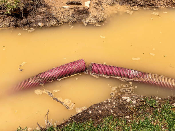 Best Water damage contractors near me  in Elkhart Lake, WI